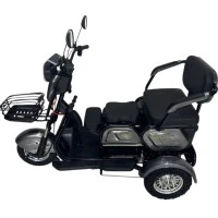 Электротрицикл GreenCamel Фродо X7 V2 (48V20Ah 500W R8) дифференциал Серый